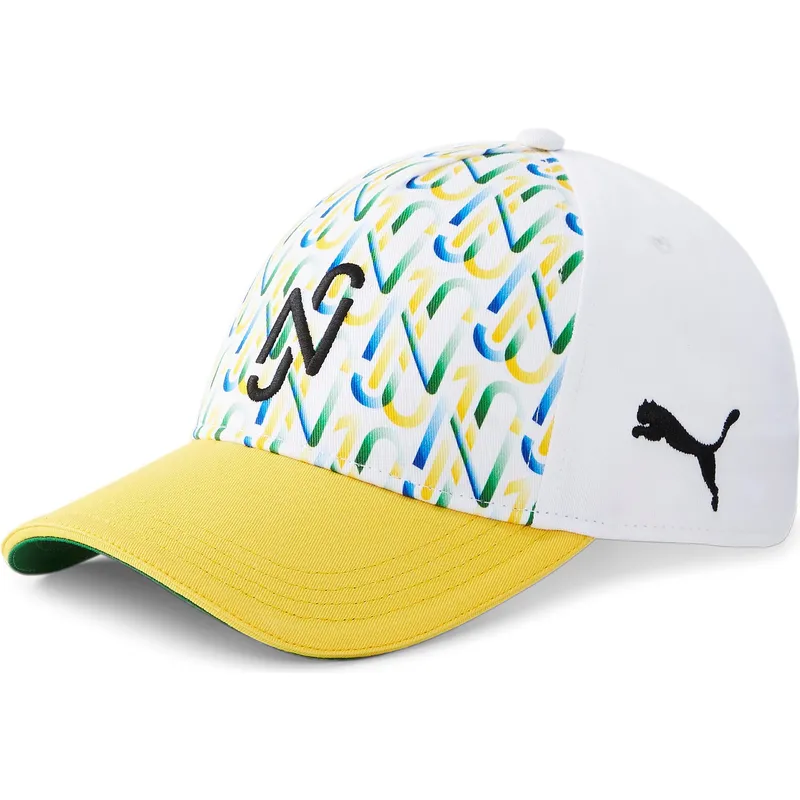 curva-puma curva-puma