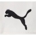 curva-puma
