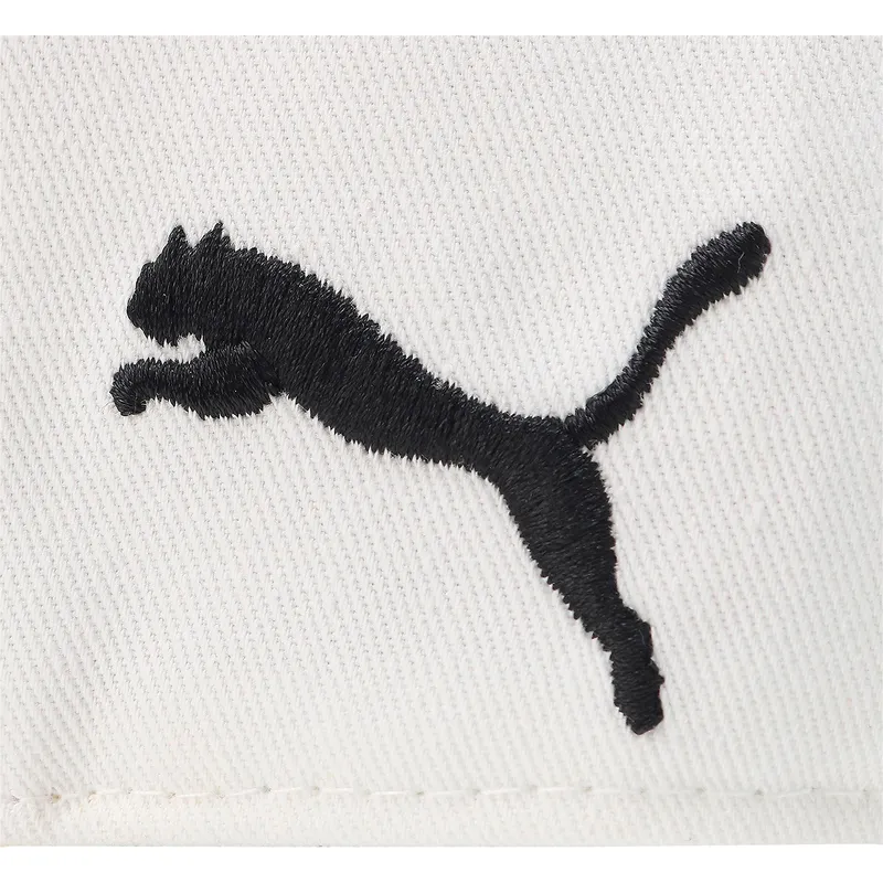 curva-puma curva-puma