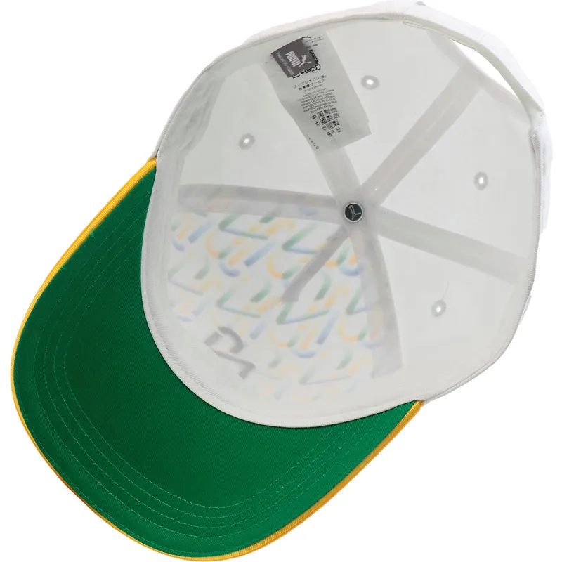 curva-puma curva-puma