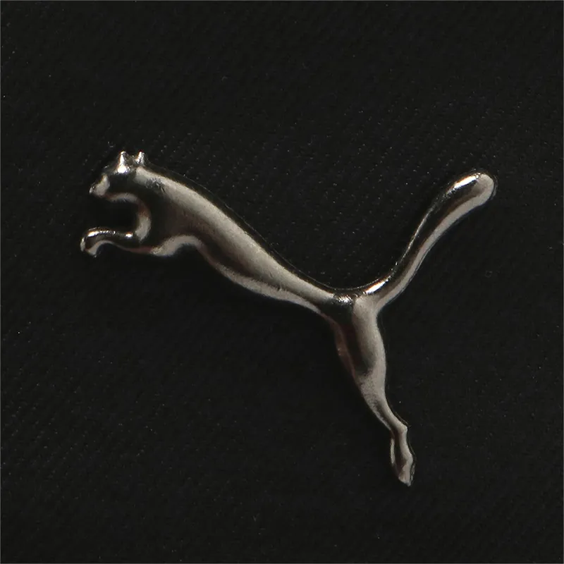 curva-puma