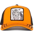 curva-snapback-the-farm-goorin-bros