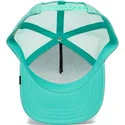 curva-snapback-the-farm-goorin-bros