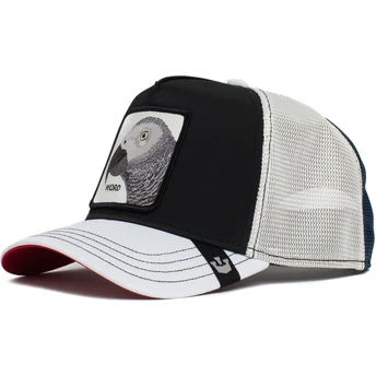 curva-snapback-the-farm-goorin-bros