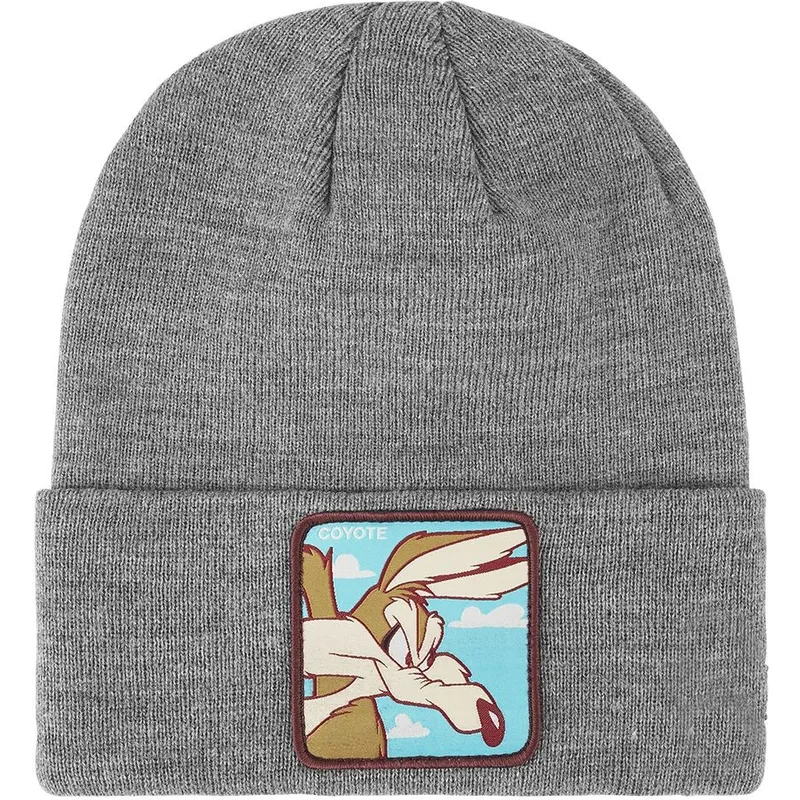 coyote-bon-coy2-looney-tunes-capslab