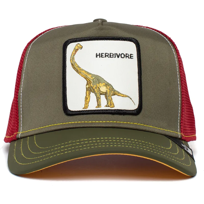 curva-snapback-the-farm-goorin-bros