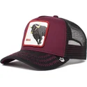 curva-snapback-the-farm-goorin-bros