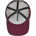 curva-snapback-the-farm-goorin-bros