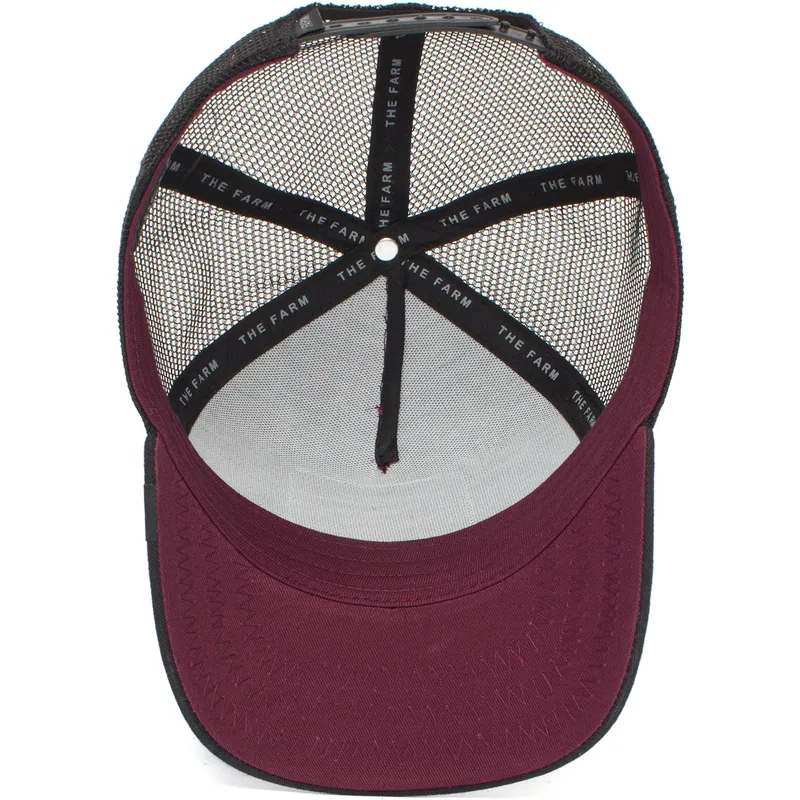 curva-snapback-the-farm-goorin-bros