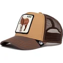 curva-snapback-the-farm-goorin-bros