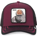 curva-snapback-the-farm-goorin-bros