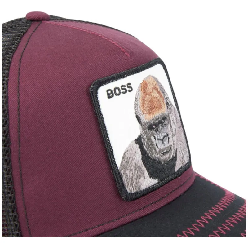 curva-snapback-the-farm-goorin-bros