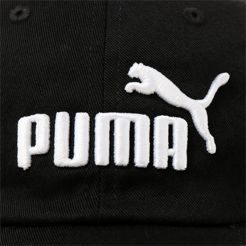 curva-puma