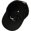curva-puma