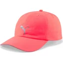curva-puma