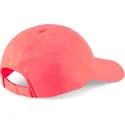 curva-puma