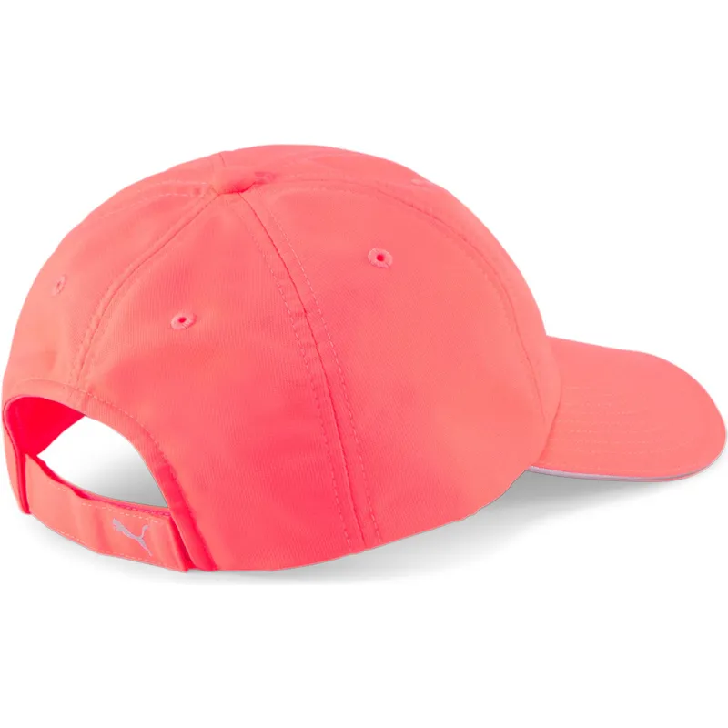 curva-puma