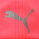 curva-puma