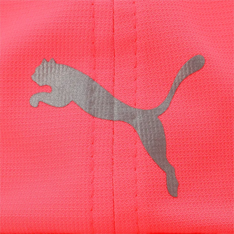 curva-puma