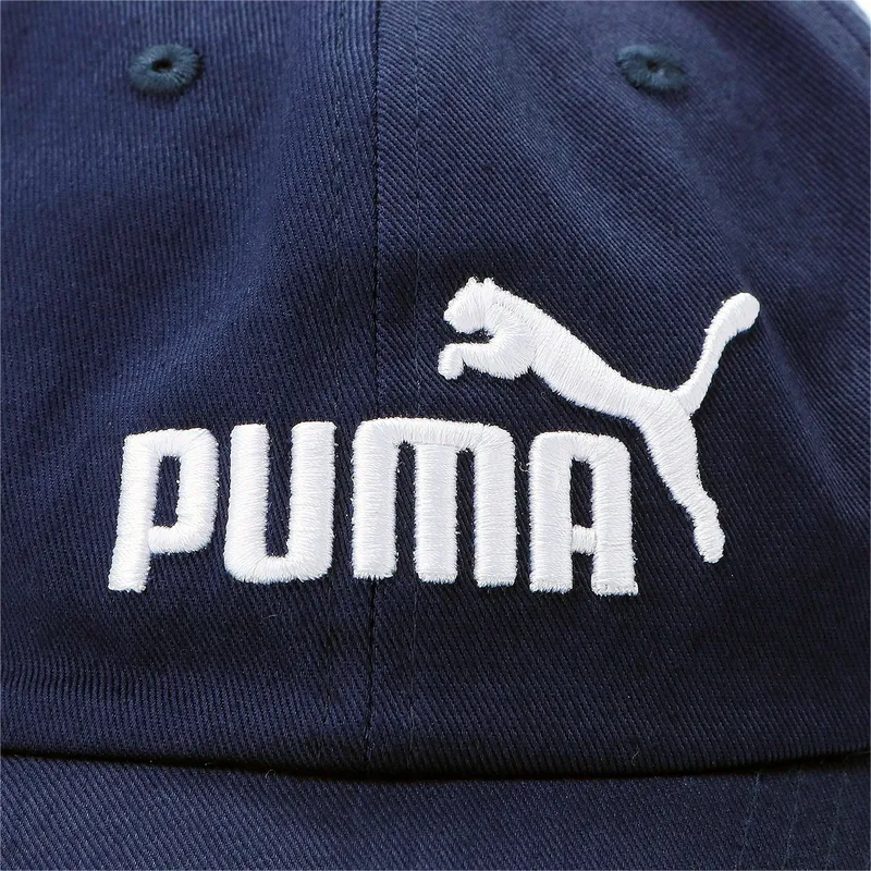 fundamentals-puma