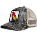 curva-snapback-the-farm-goorin-bros