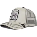 curva-snapback-the-farm-goorin-bros