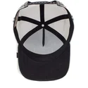 curva-snapback-the-farm-goorin-bros