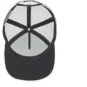 curva-snapback-the-farm-goorin-bros