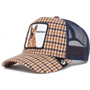 curva-snapback-the-farm-goorin-bros