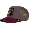 curva-snapback-the-farm-goorin-bros