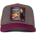 curva-snapback-the-farm-goorin-bros