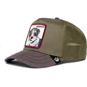 curva-snapback-the-farm-goorin-bros