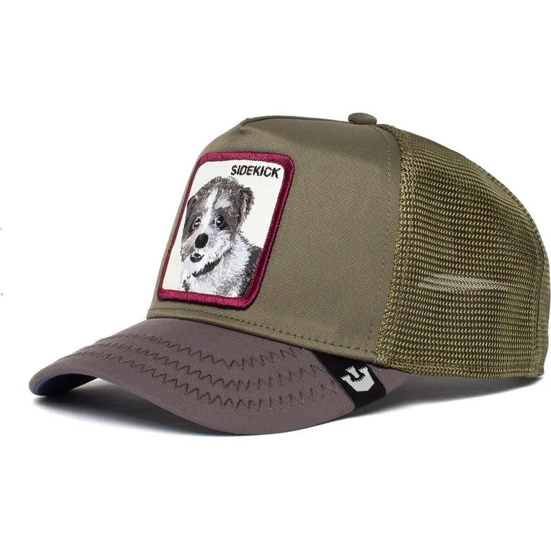 curva-snapback-the-farm-goorin-bros