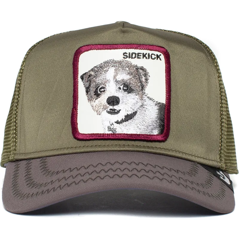 curva-snapback-the-farm-goorin-bros