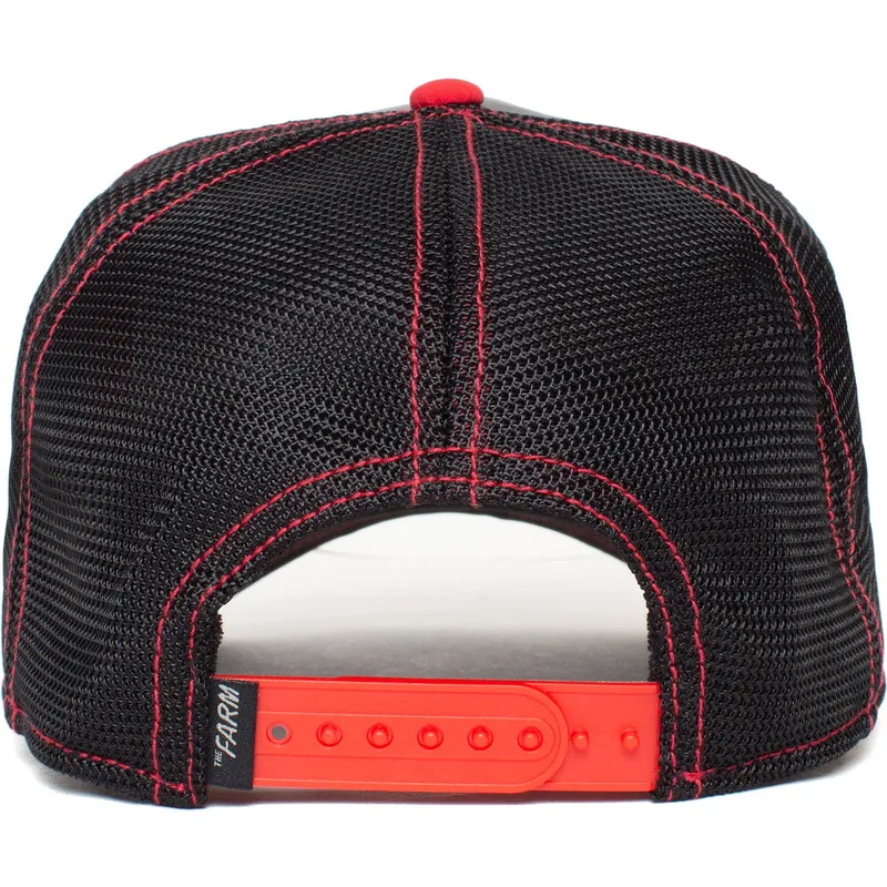 curva-snapback-the-farm-goorin-bros