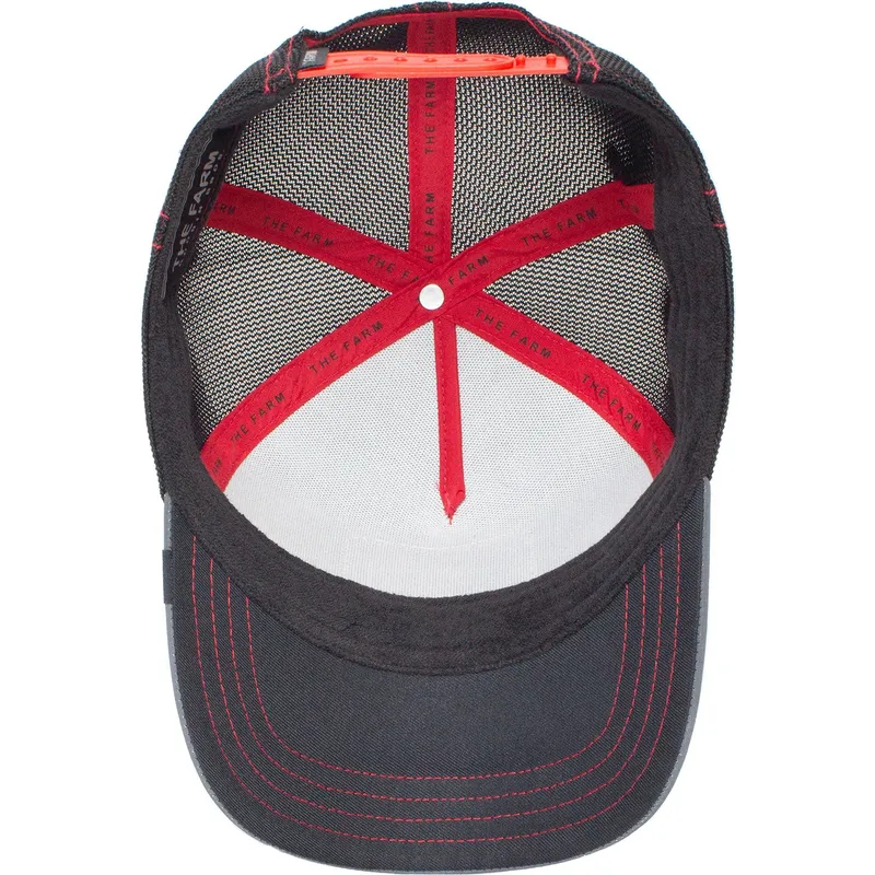 curva-snapback-the-farm-goorin-bros