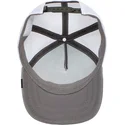 curva-snapback-the-farm-goorin-bros