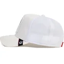 curva-snapback-the-farm-goorin-bros