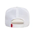 curva-snapback-the-farm-goorin-bros