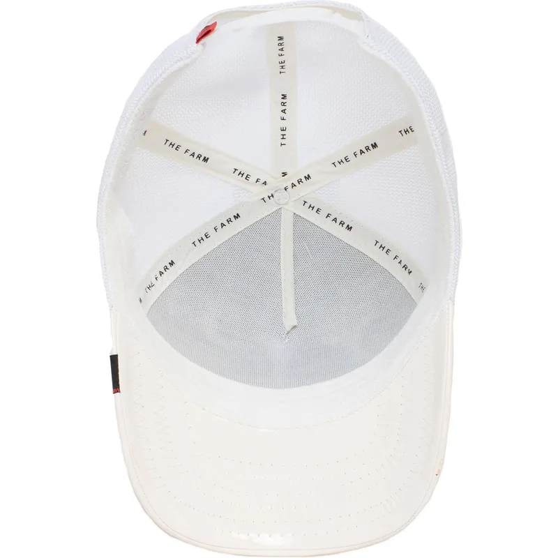 curva-snapback-the-farm-goorin-bros