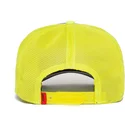 curva-snapback-the-farm-goorin-bros