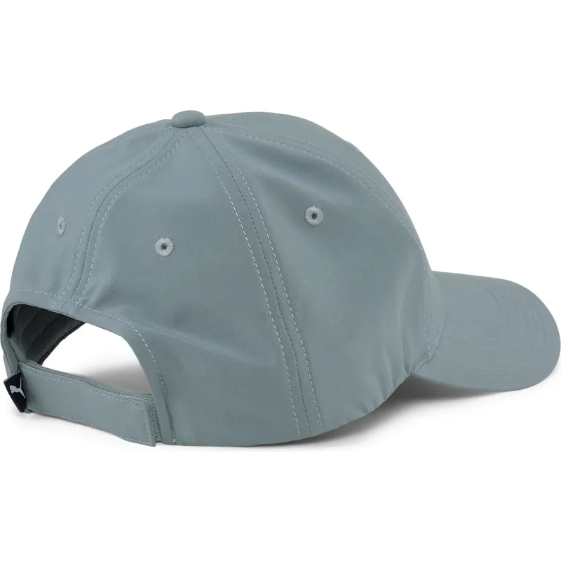 curva-puma curva-puma
