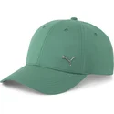 curva-puma