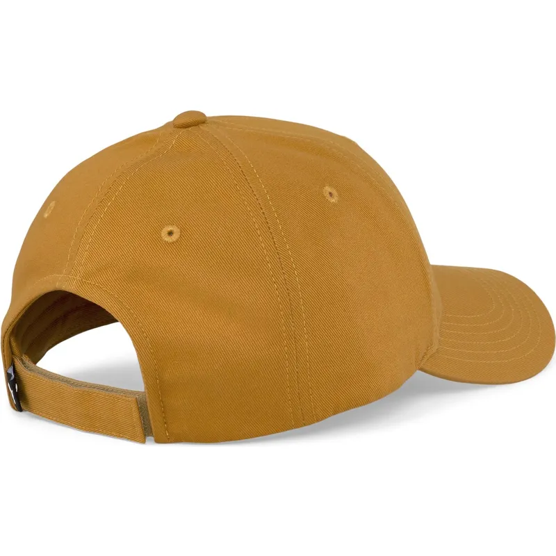 curva-puma curva-puma