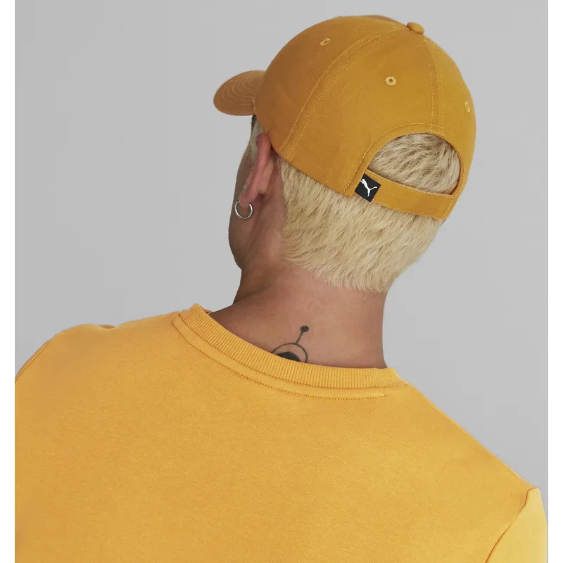 curva-puma curva-puma