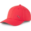 curva-puma