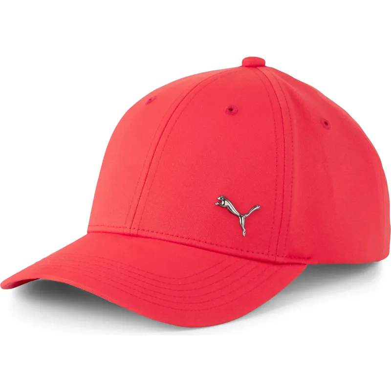 curva-puma curva-puma