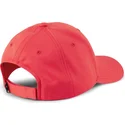 curva-puma