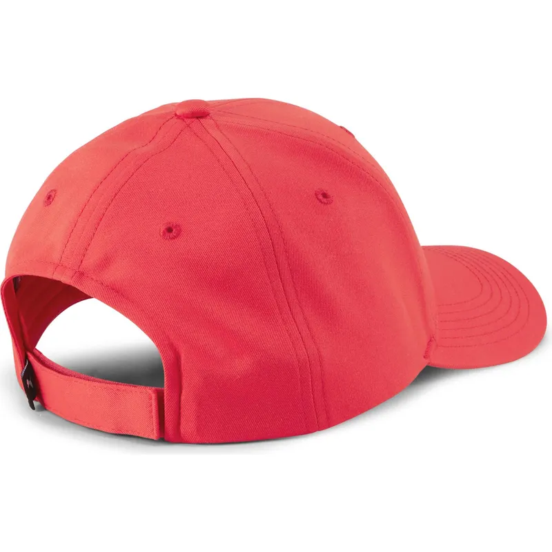 curva-puma curva-puma