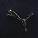 curva-puma